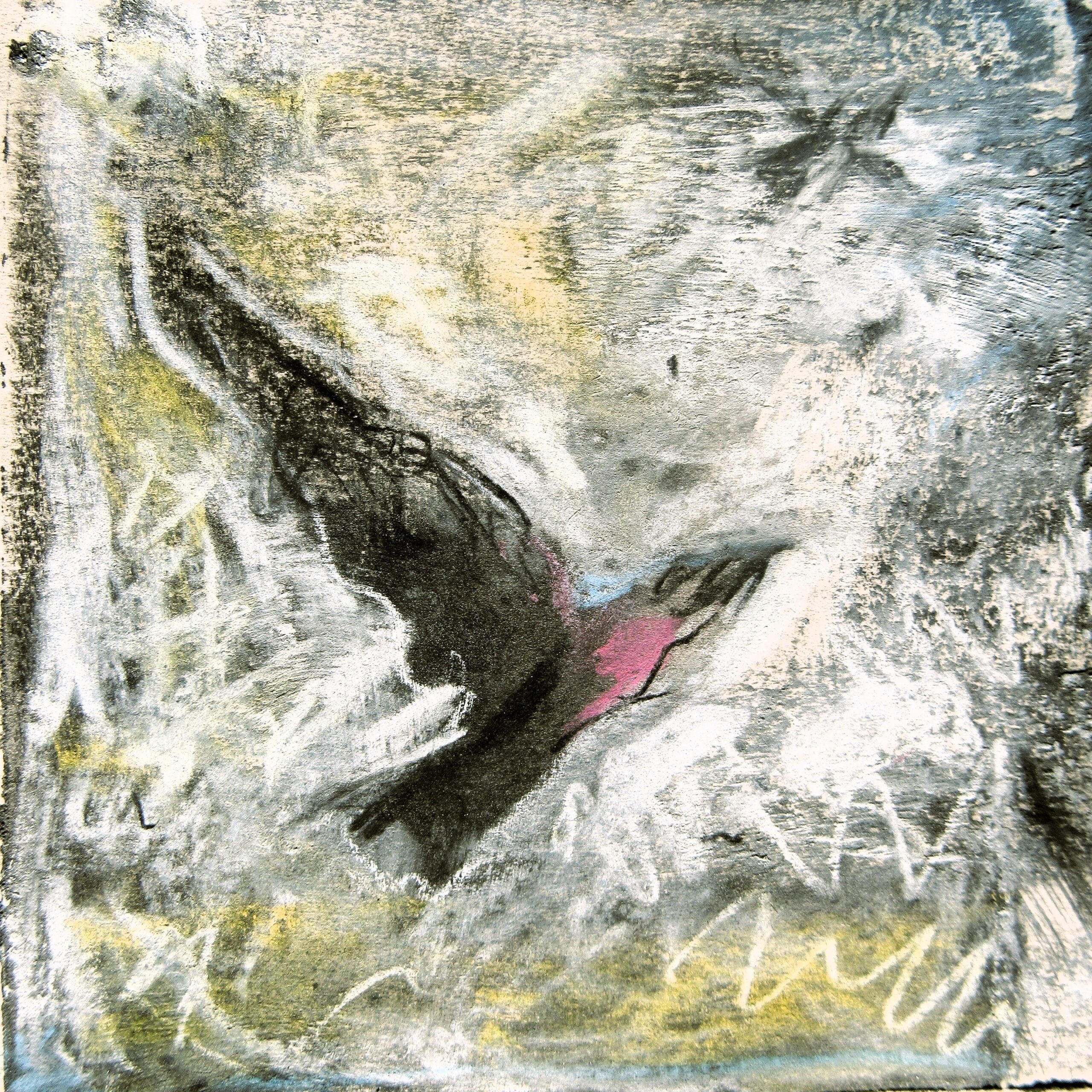 Vuelo fragmentario 14/100