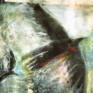 Vuelo fragmentario 27/100