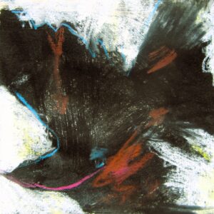 Vuelo fragmentario 64/100