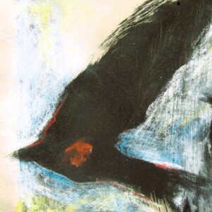 Vuelo fragmentario 78/100