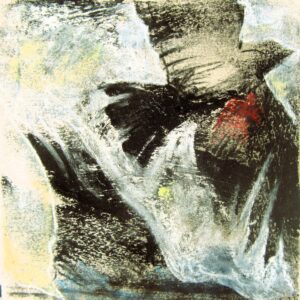 Vuelo fragmentario 7/100